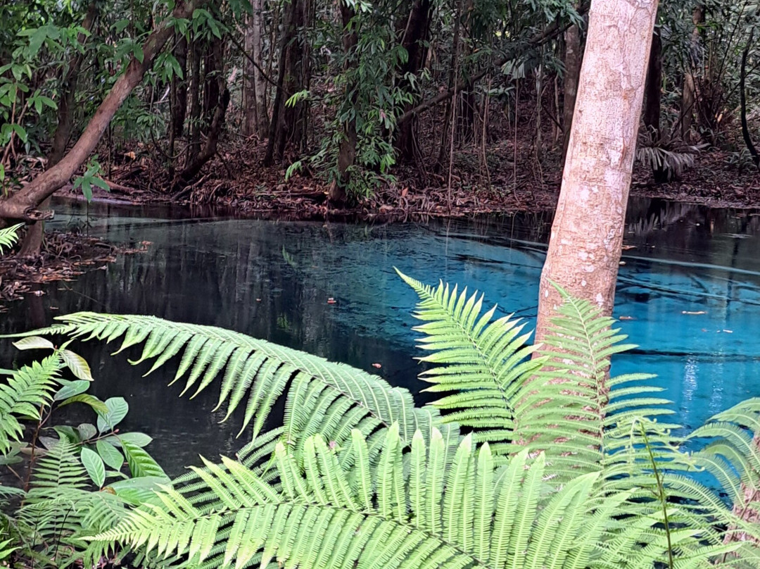 Blue Pool Krabi景点图片