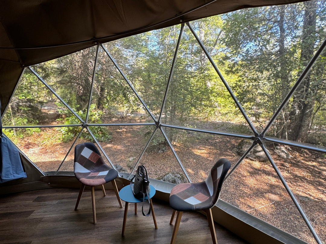 Llaimadomo lodge主图