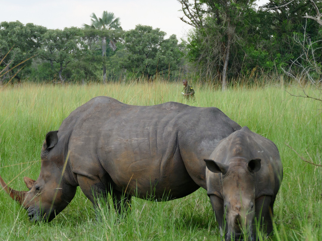 Apes Booking Vacations-坎帕拉必去景点