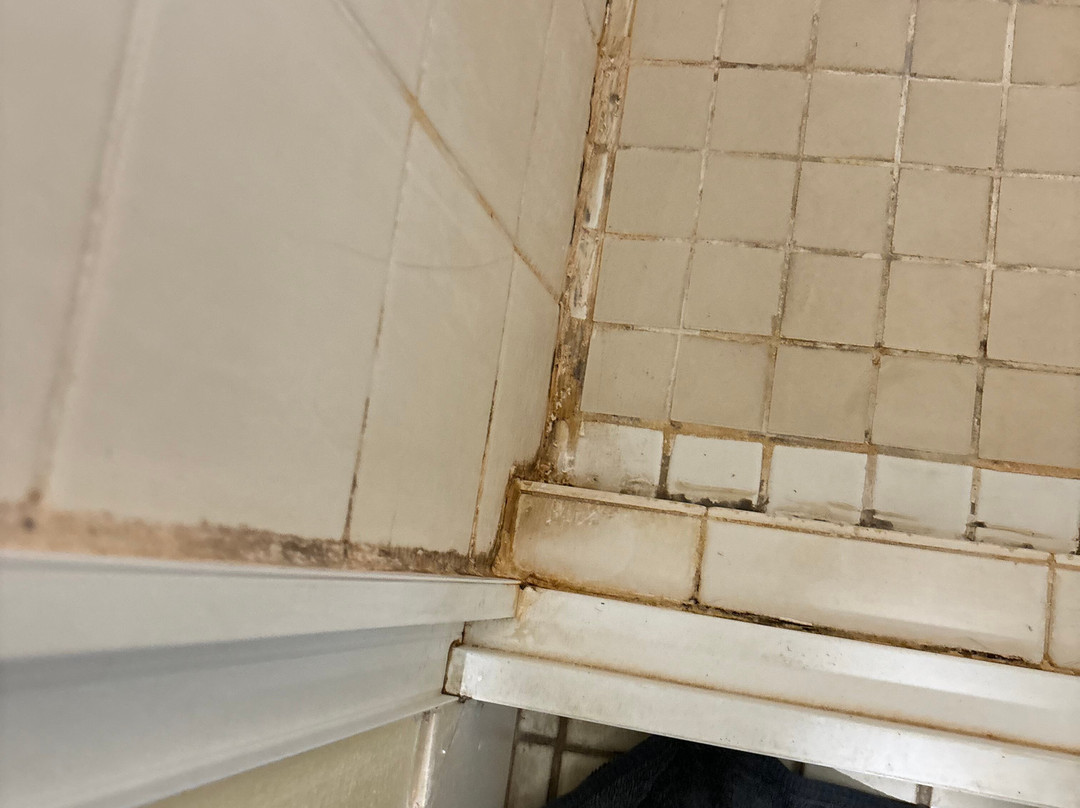 The Jumbuck Motel主图