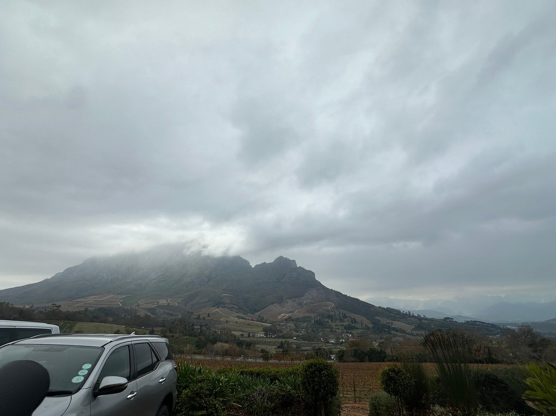 Glorious Cape Tours-开普敦中心区必去景点