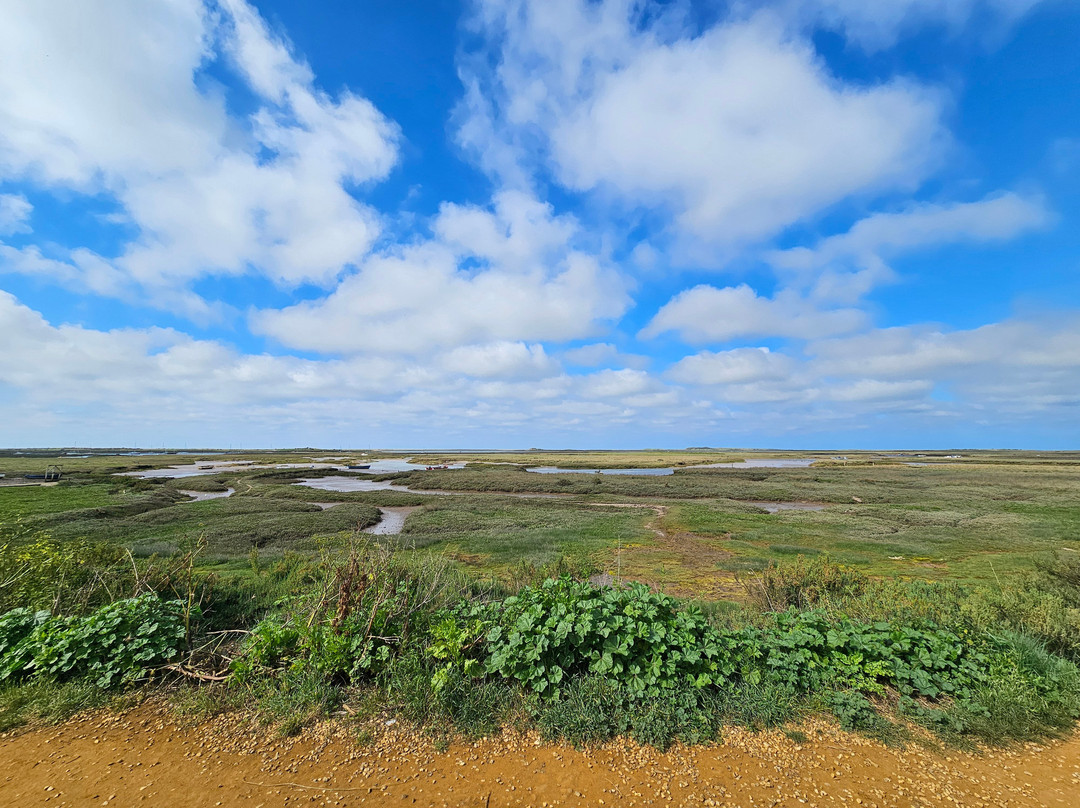 The White Horse主图