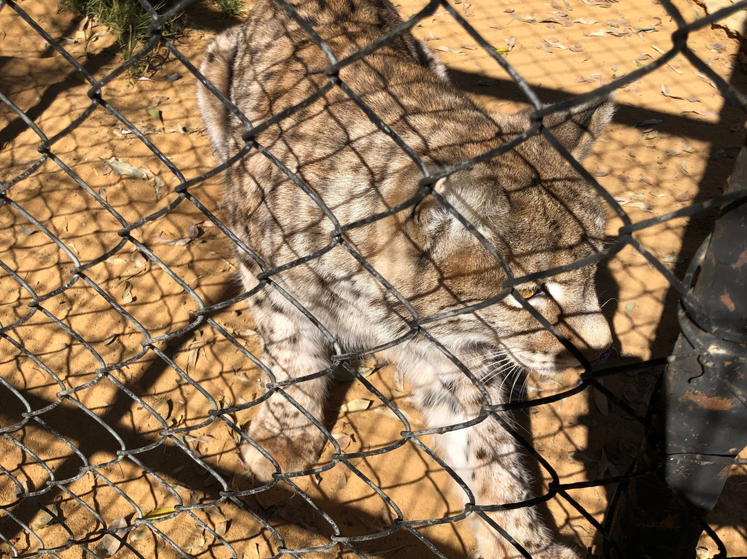 Eventieria Wildlife Park景点图片