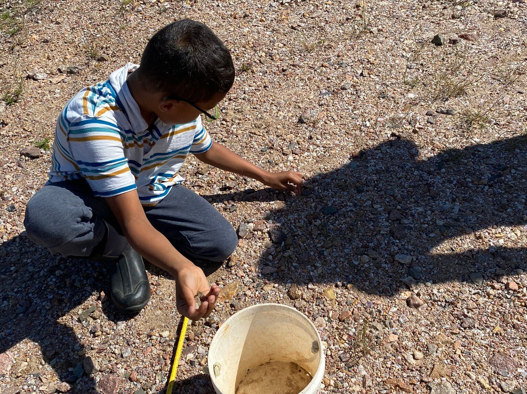 Amethyst Mine Panorama-Shuniah必去景点