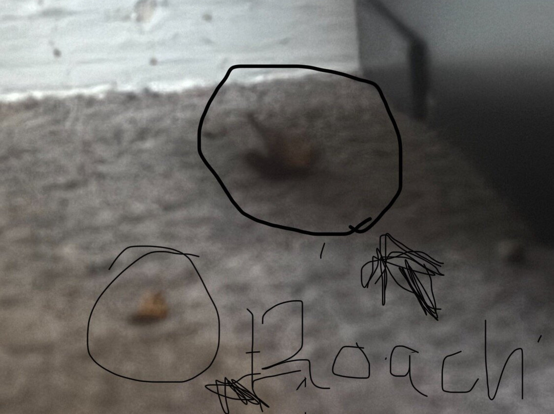 灯升客栈酒店主图