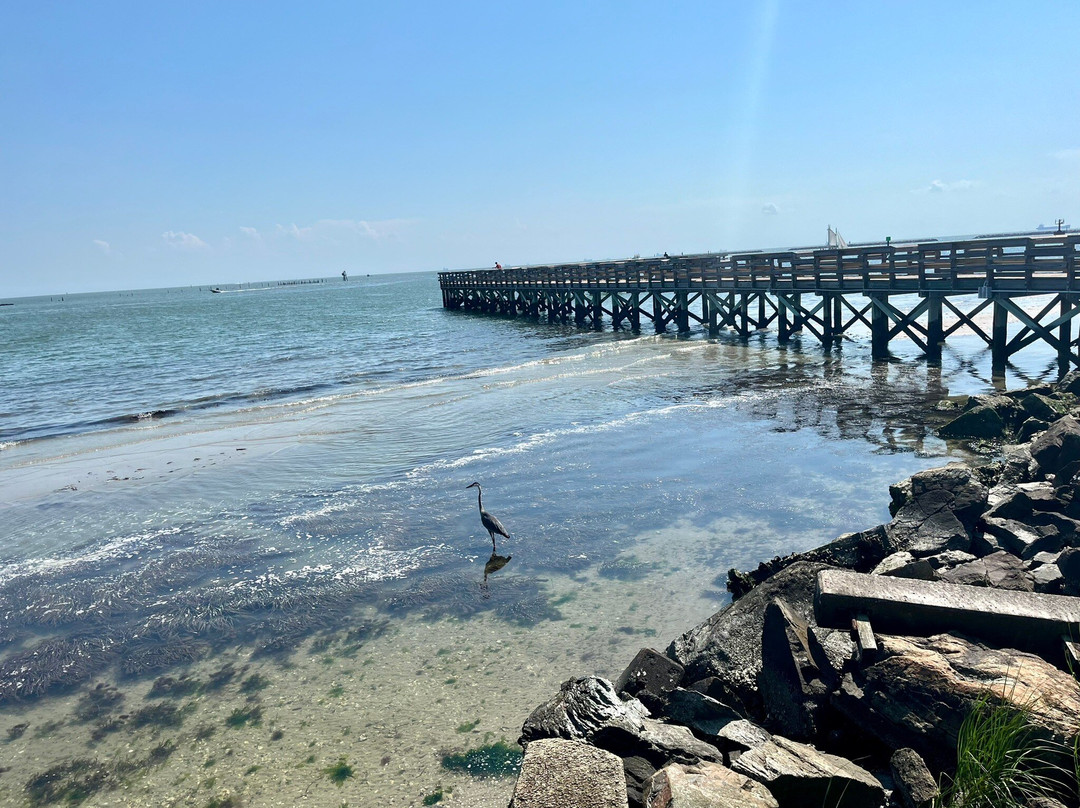 Fig Street Inn主图