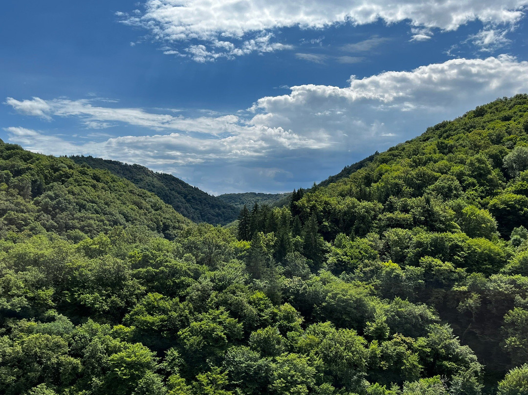 Les Tours de Merle景点图片