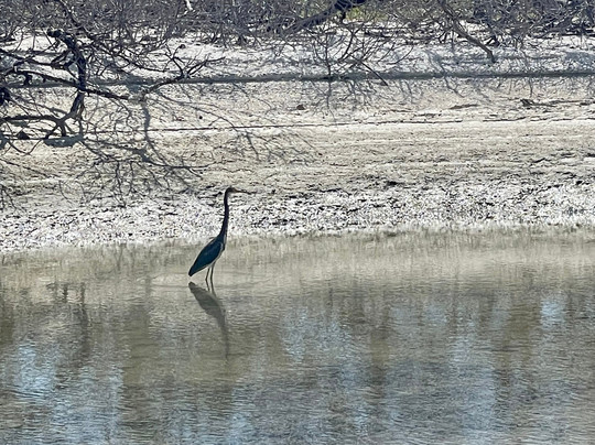 Adventures Kayaking-博尼塔斯普林斯必去景点