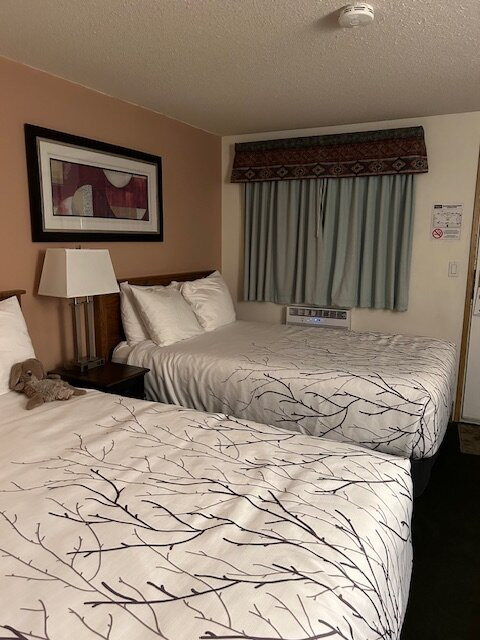 Western Traveller Motel主图