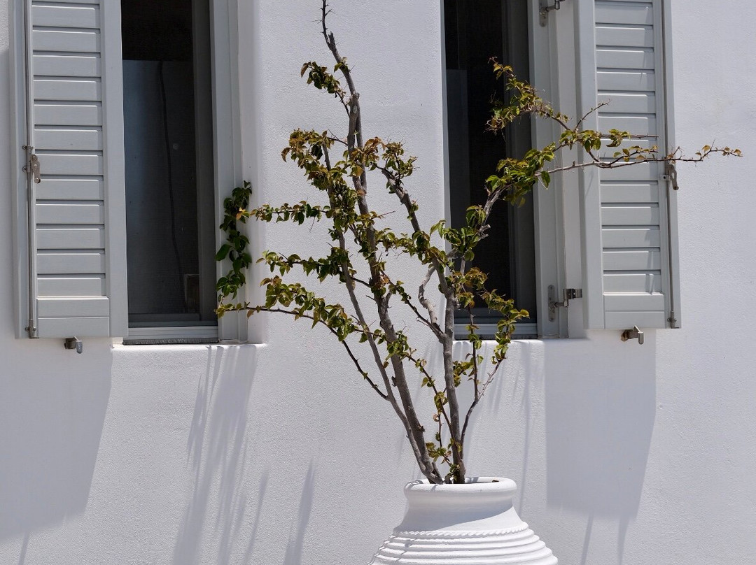 马诺拉斯海滩酒店