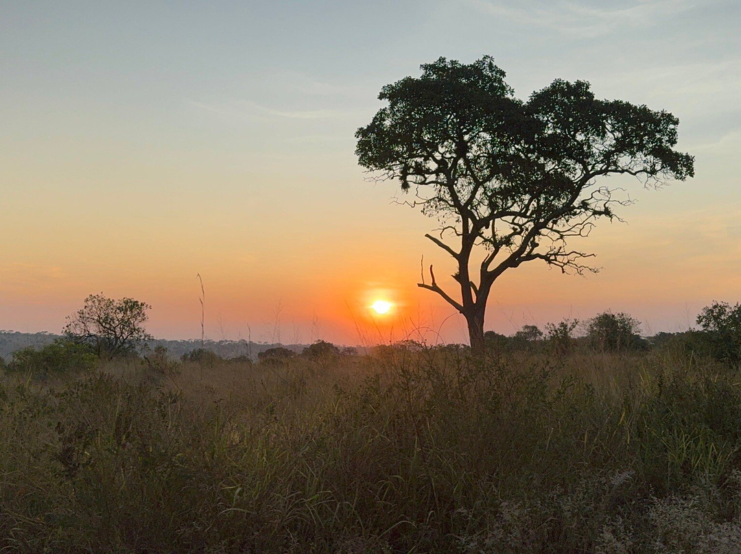 East African Safari And Touring Company-阿鲁沙必去景点