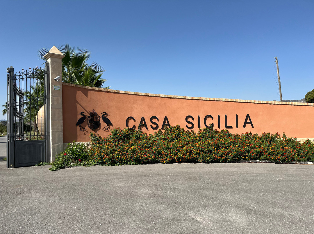 Bodega Casa Sicilia景点图片