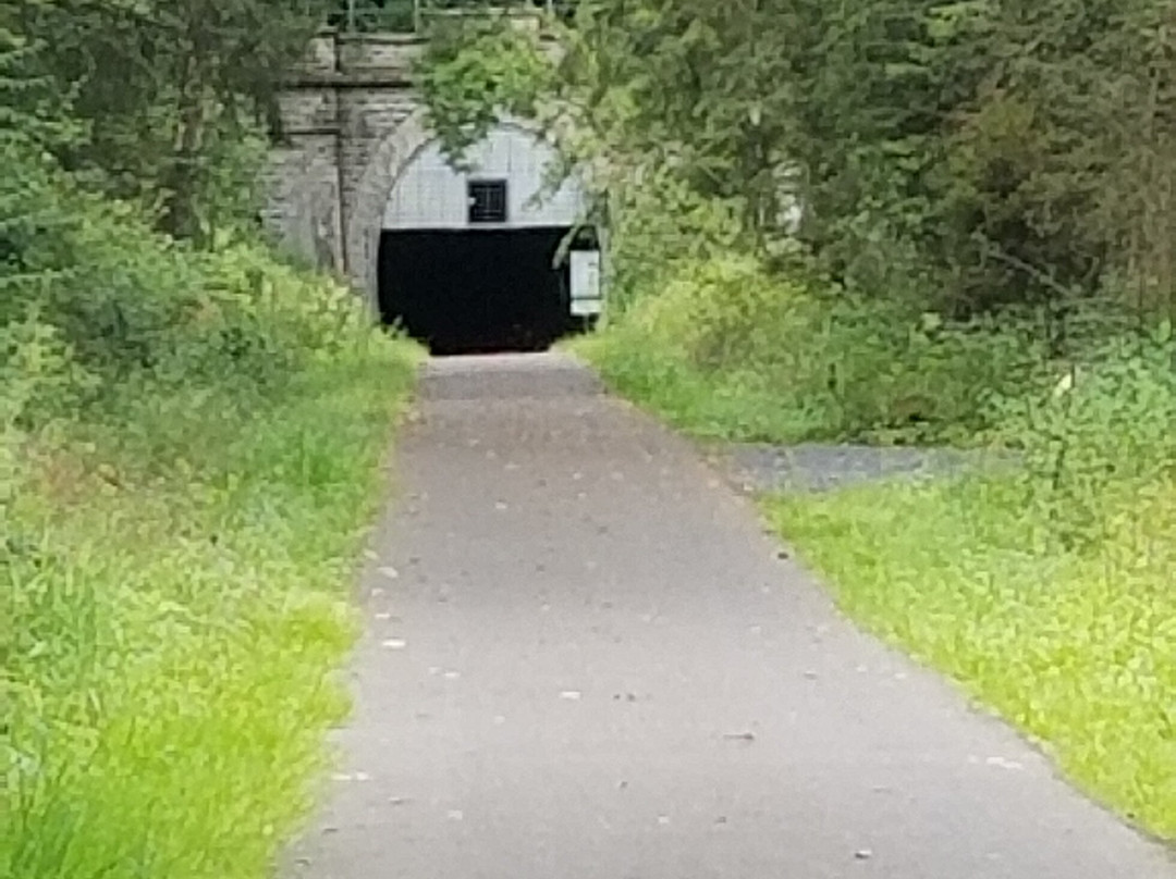 Milsenburgradweg