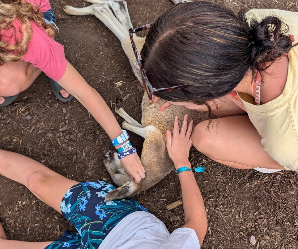 Timbavati Wildlife Park-威斯康星峡谷必去景点