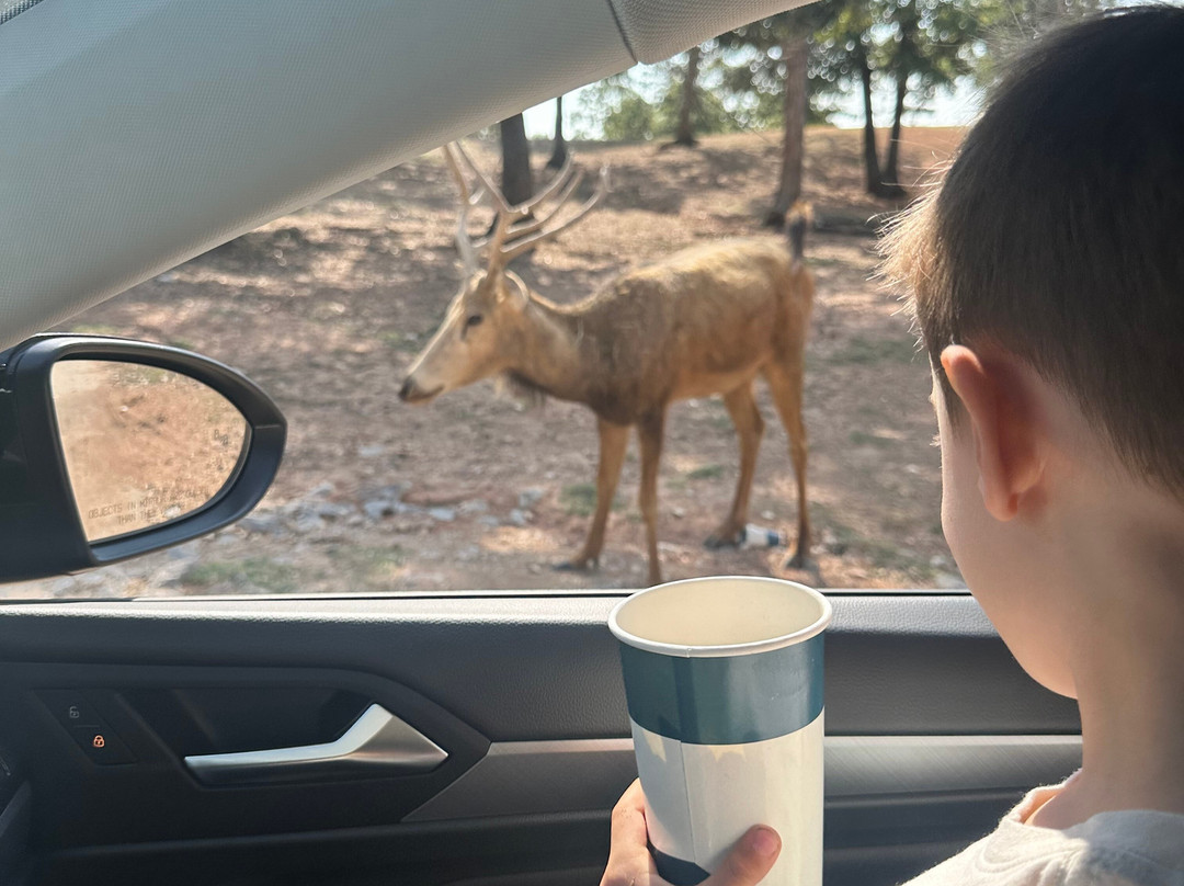 Arbuckle Wilderness-Davis必去景点