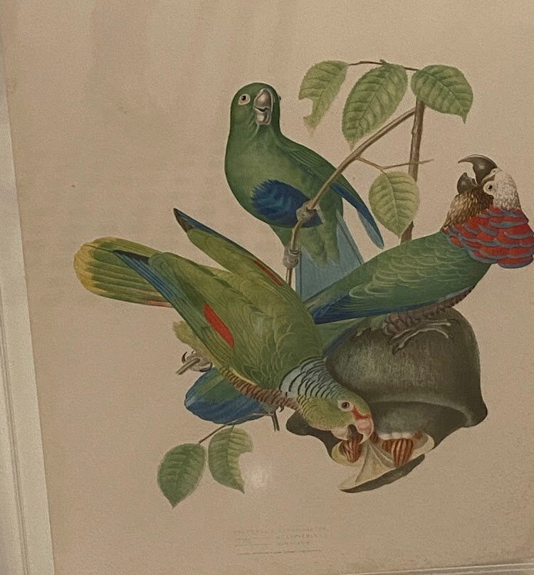 Itau Cultural Institute-圣保罗必去景点