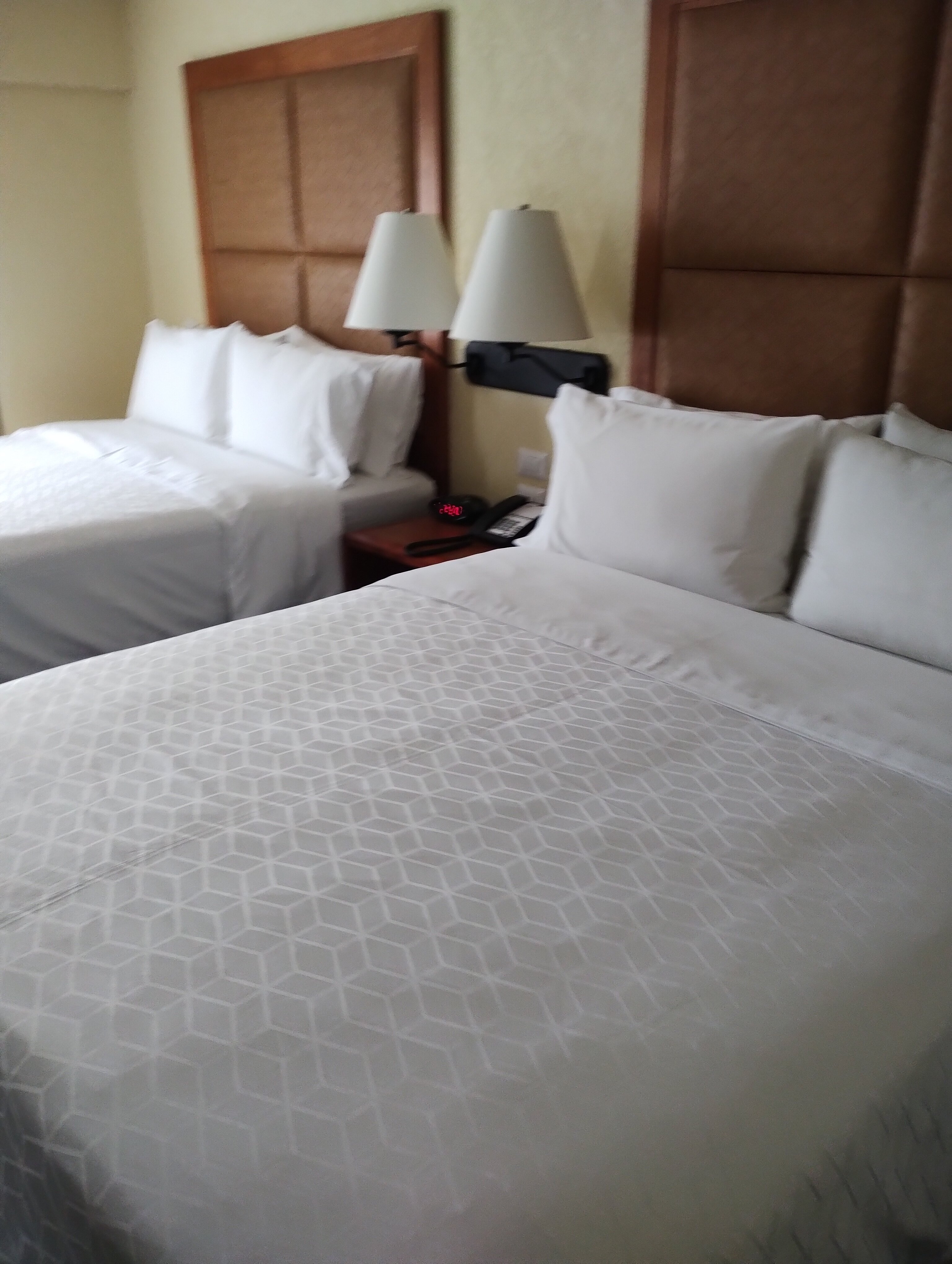 Holiday Inn Express Oaxaca-Centro Historico, an IHG Hotel-客卧