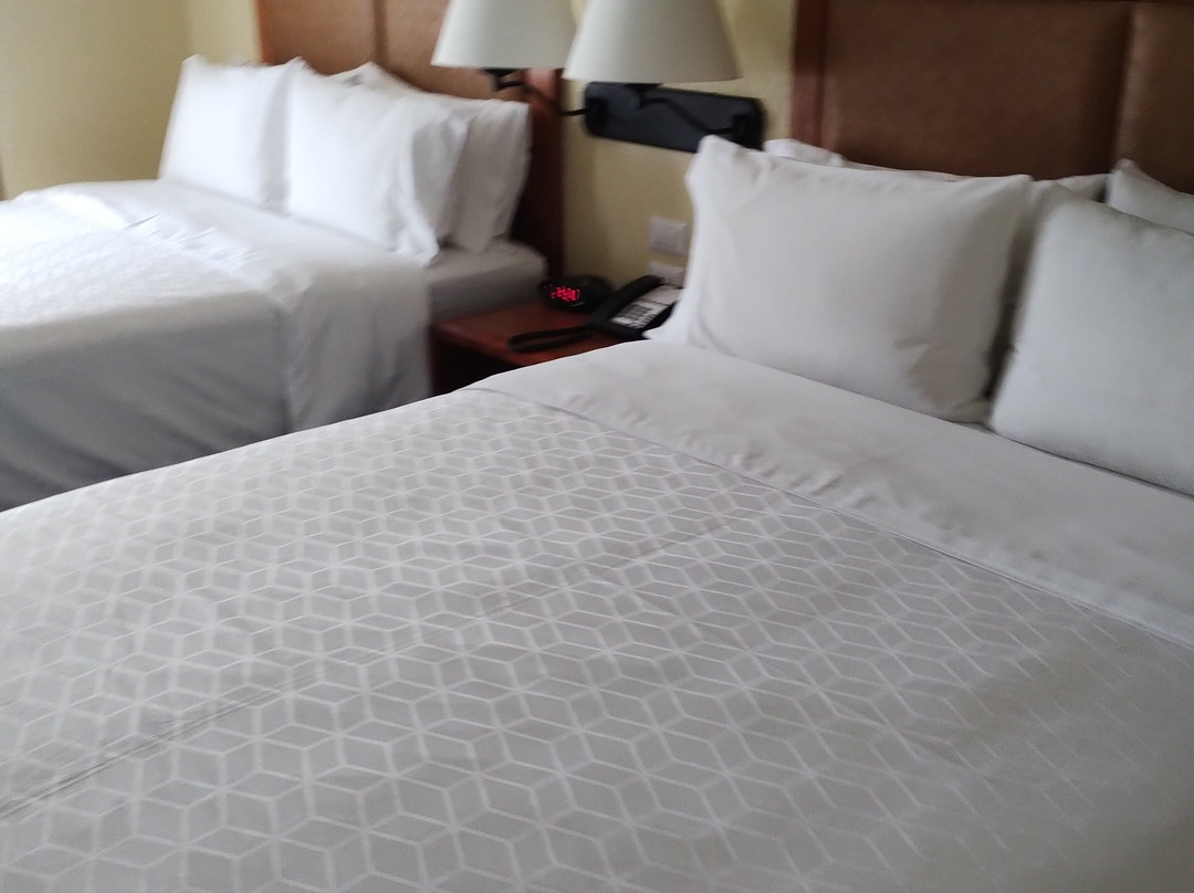 Holiday Inn Express Oaxaca-Centro Historico by IHG主图