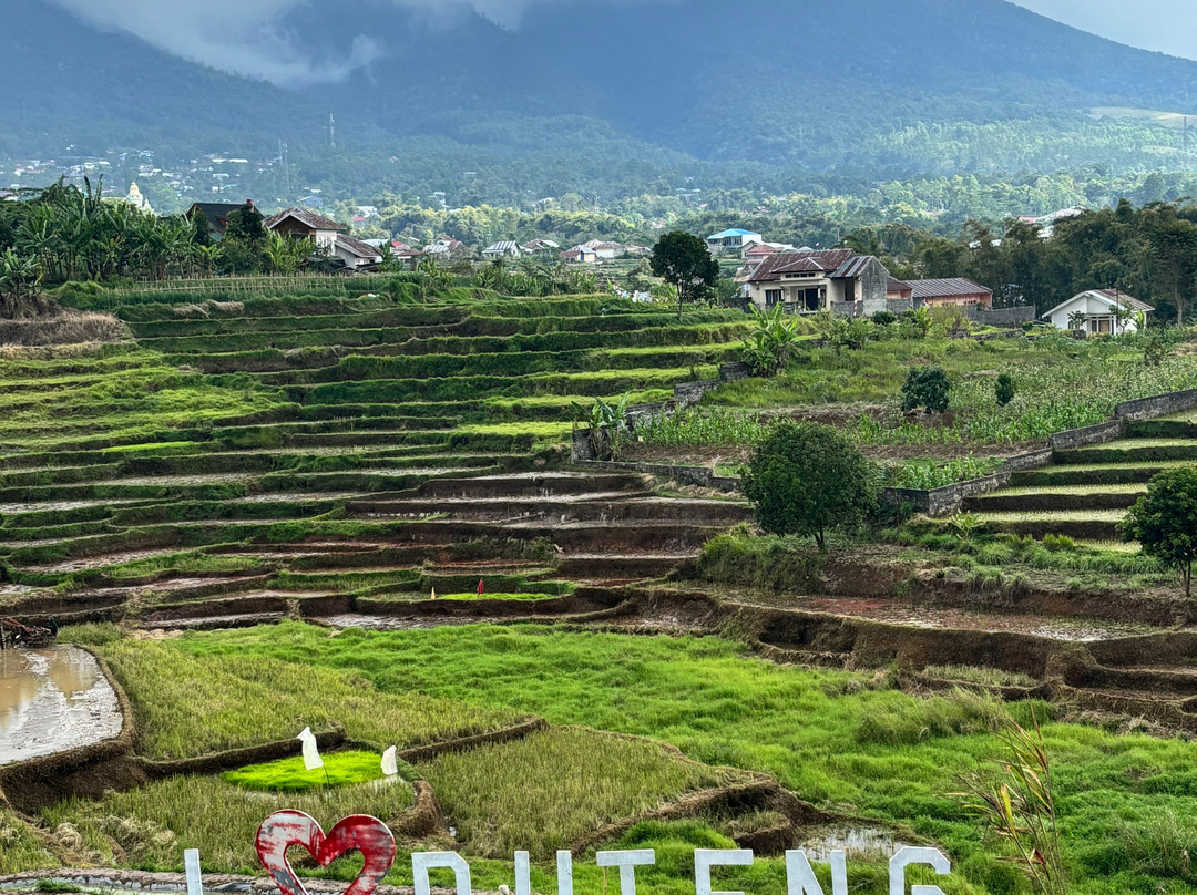 Travelino Flores景点图片