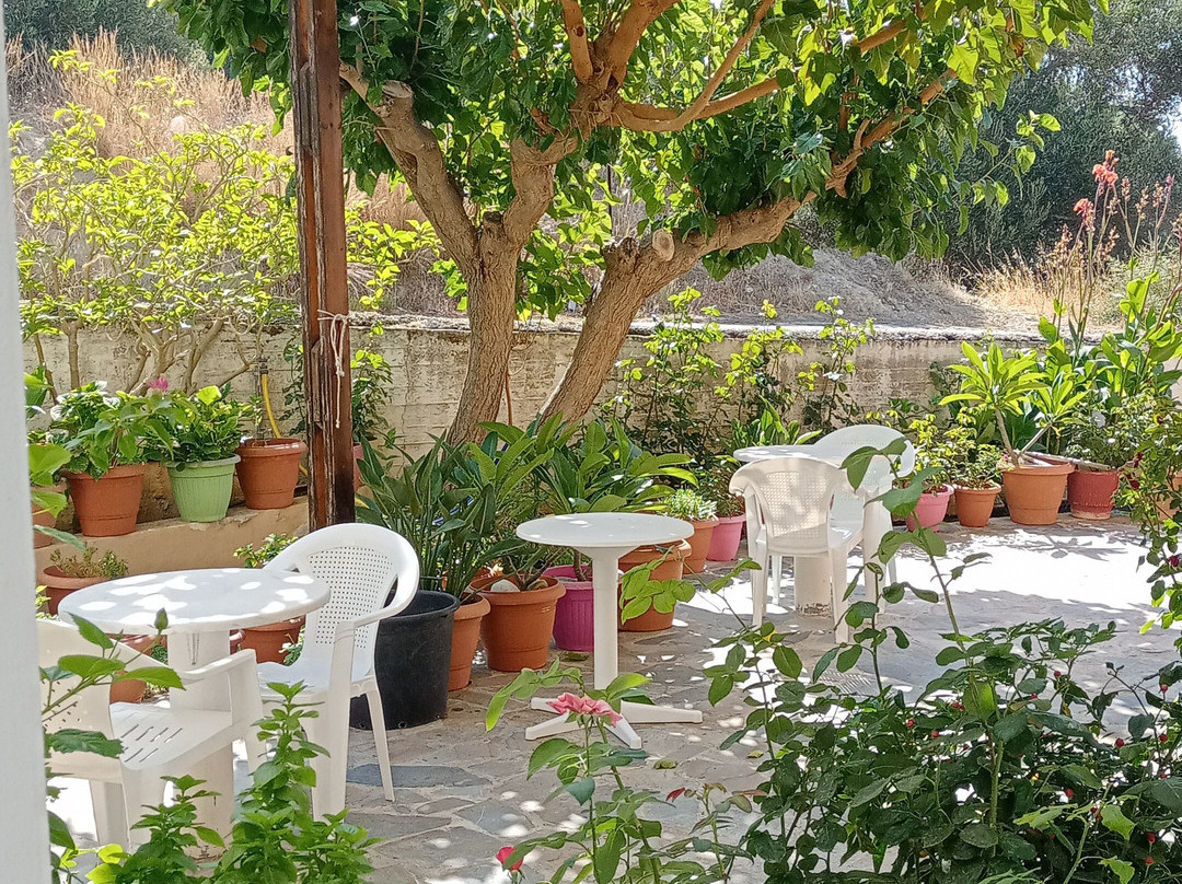 Stella Studios主图