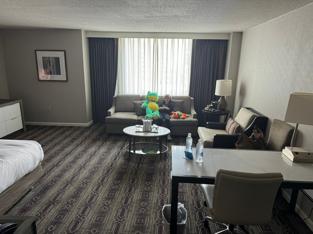 哈里斯堡希尔顿酒店主图