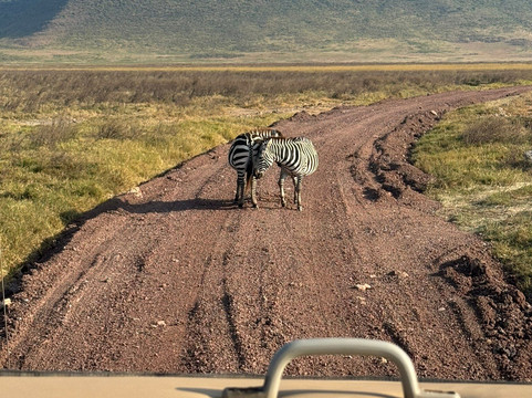Wild Voyager-内罗毕必去景点