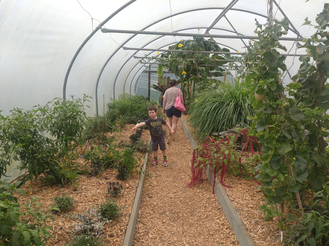 South Devon Chilli Farm-Loddiswell必去景点