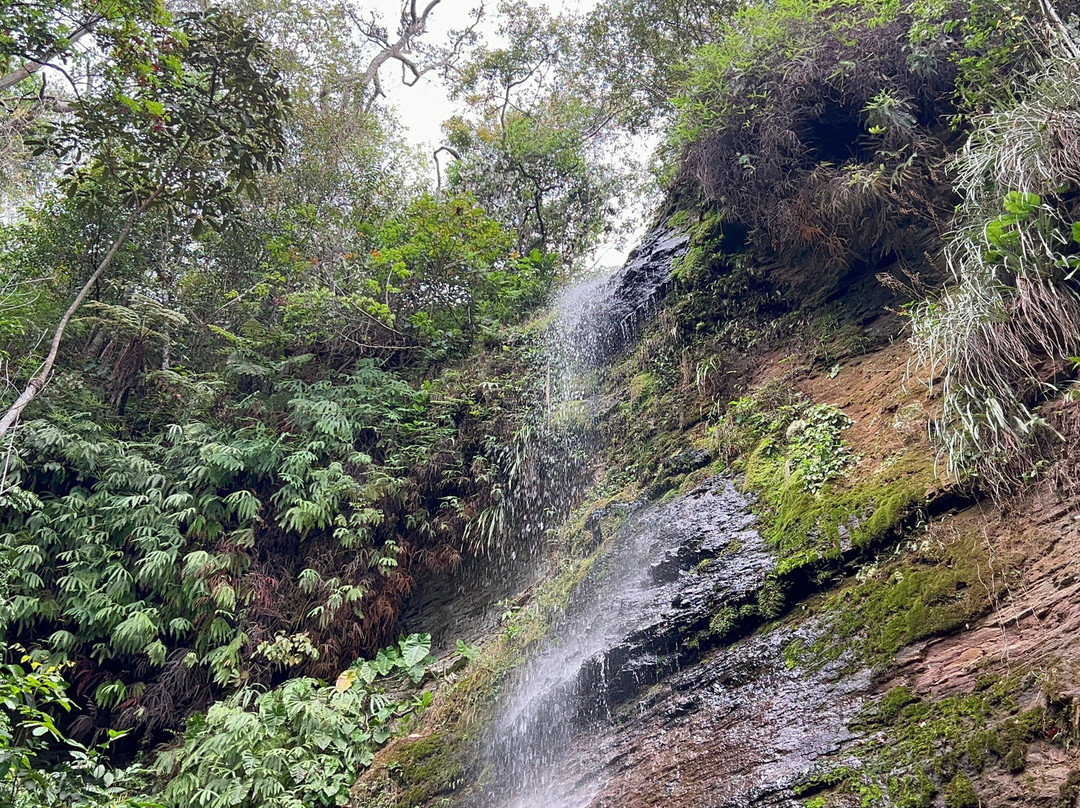 Cachoeira da Geladeira景点图片