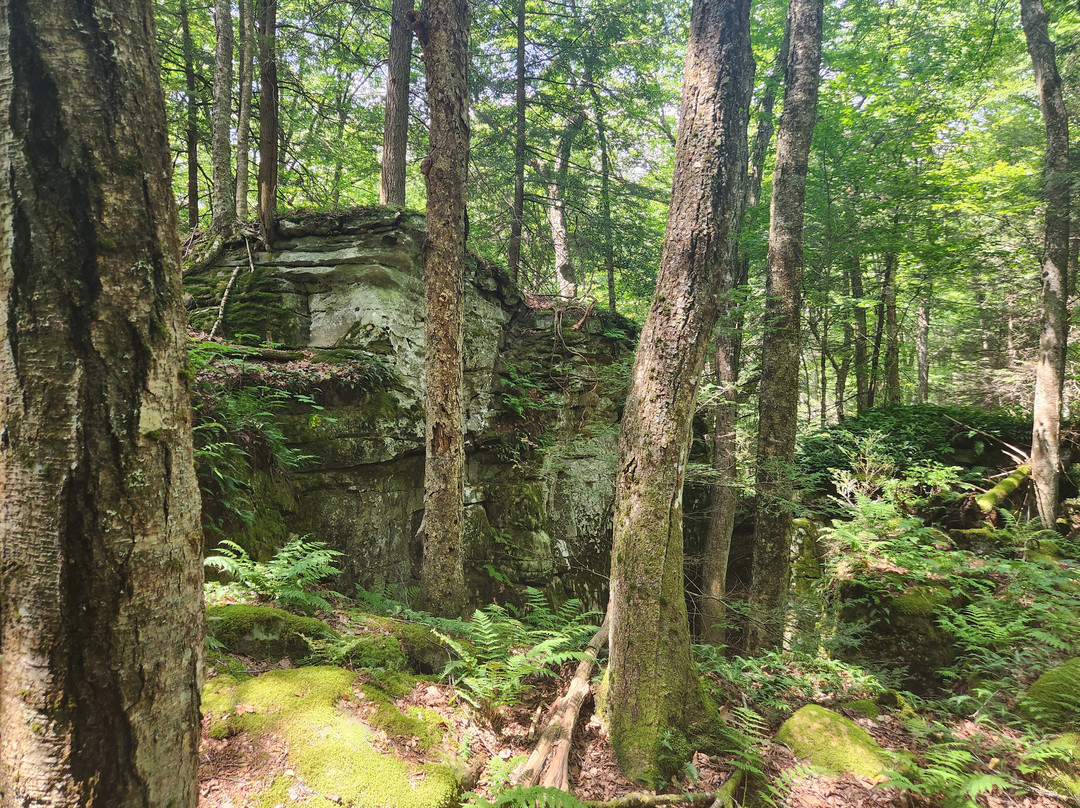 Beartown State Park景点图片