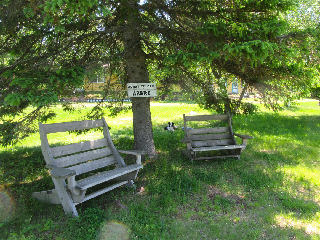 Havre Musical De L'islet-L'Isle-aux-Coudres必去景点