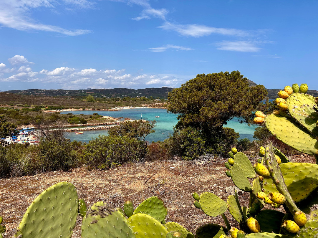 Costa Corallina Beach-奥尔比亚必去景点
