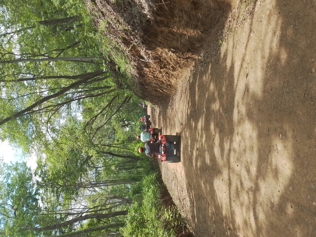 Tours Papagayo JC-Gulf of Papagayo必去景点