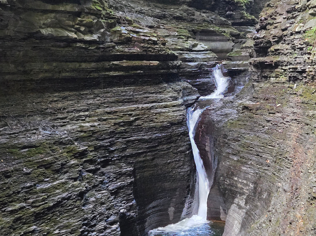 Hector Falls-Hector必去景点