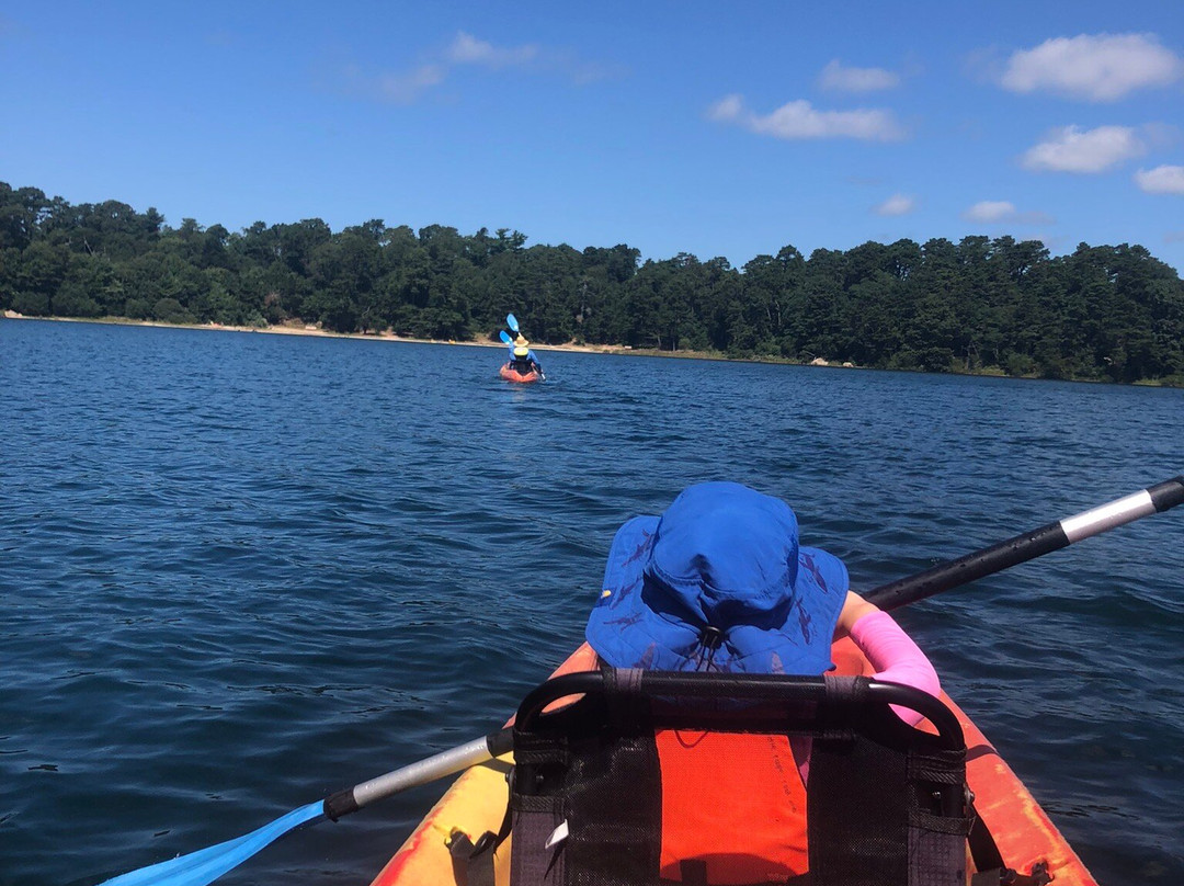 Paddle Cape Cod景点图片