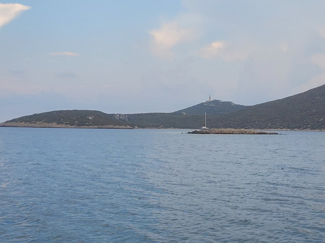Fishing Tourism Alexandros-Methoni必去景点