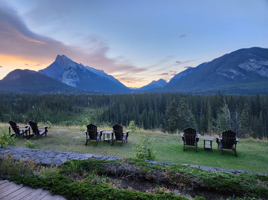 杜松子酒店主图