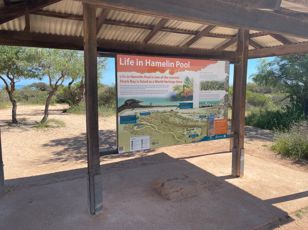 Hamelin Pool Telegraph Station-Hamelin Pool必去景点