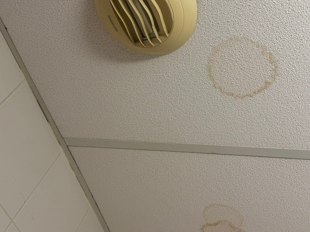 ibis Styles Chambery Centre Gare主图