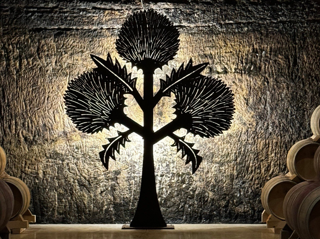 Wine Tours From Madrid-马德里必去景点