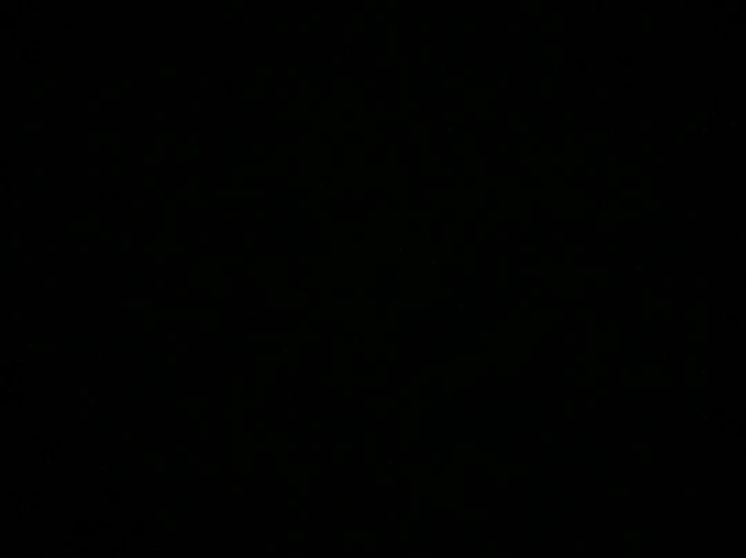 Dewey Beach Parasail-Dewey Beach必去景点