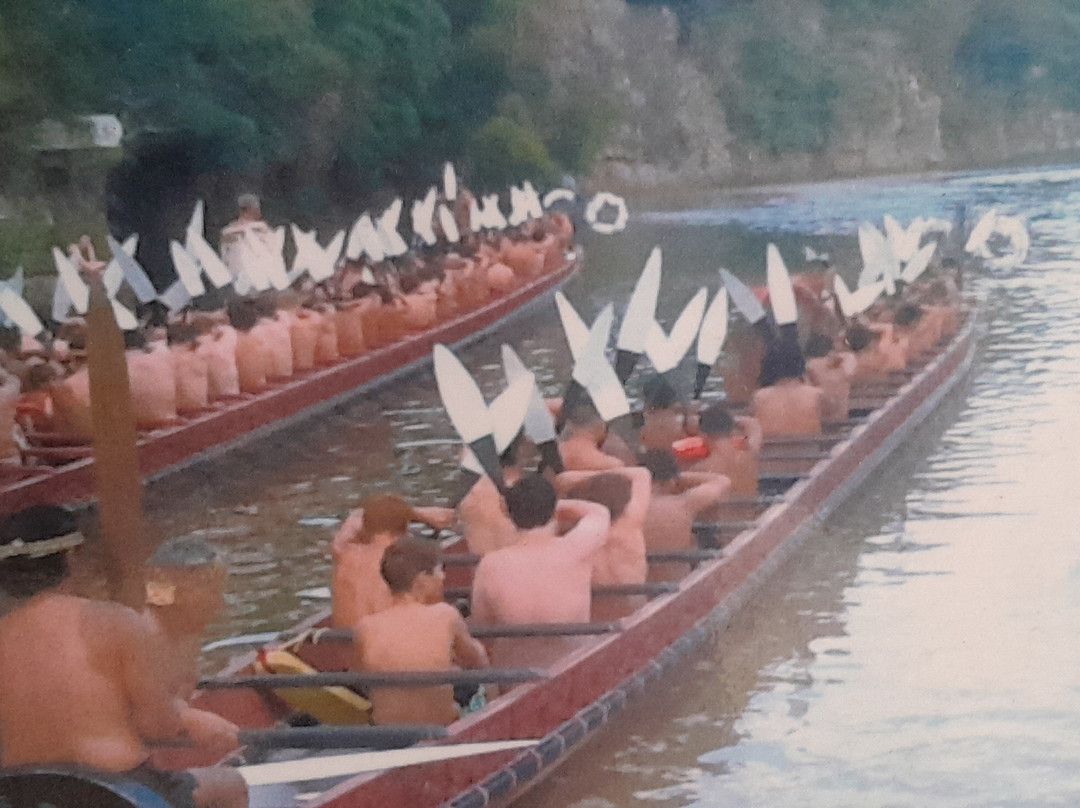 瀑布汽车旅馆及海滨营地主图