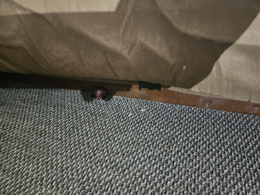 Ludington Pier House Motel主图