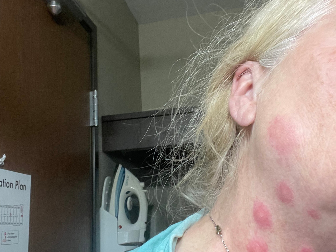 Baymont by Wyndham Minot主图