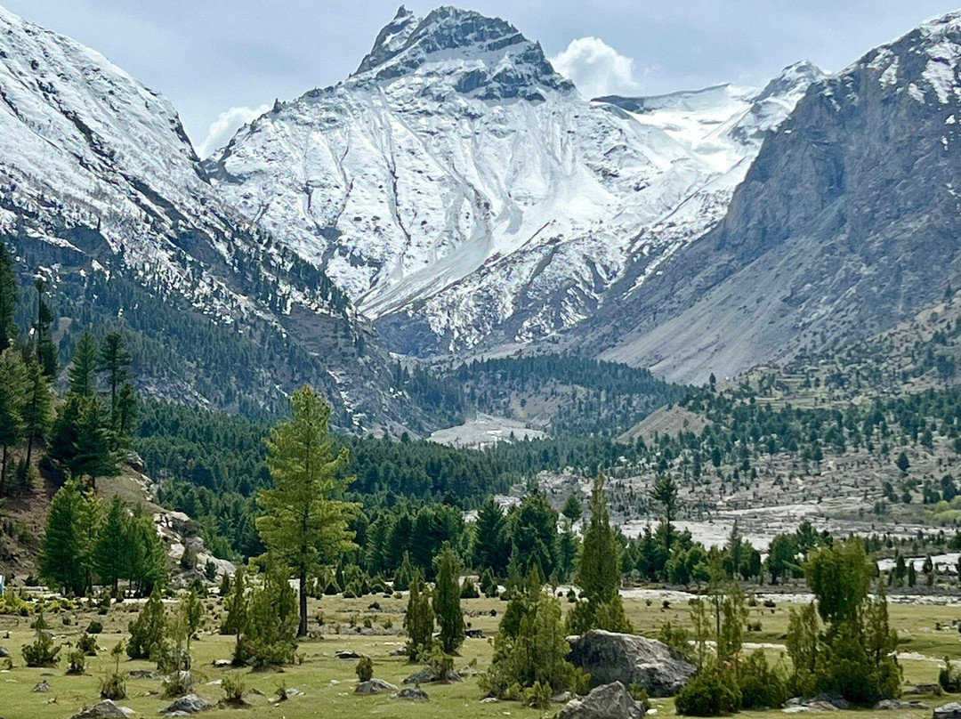 Basho Valley - Sultanabad Medow-Skardu必去景点