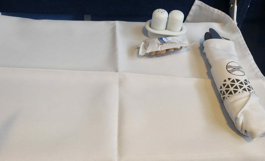 The Plane Experience主图