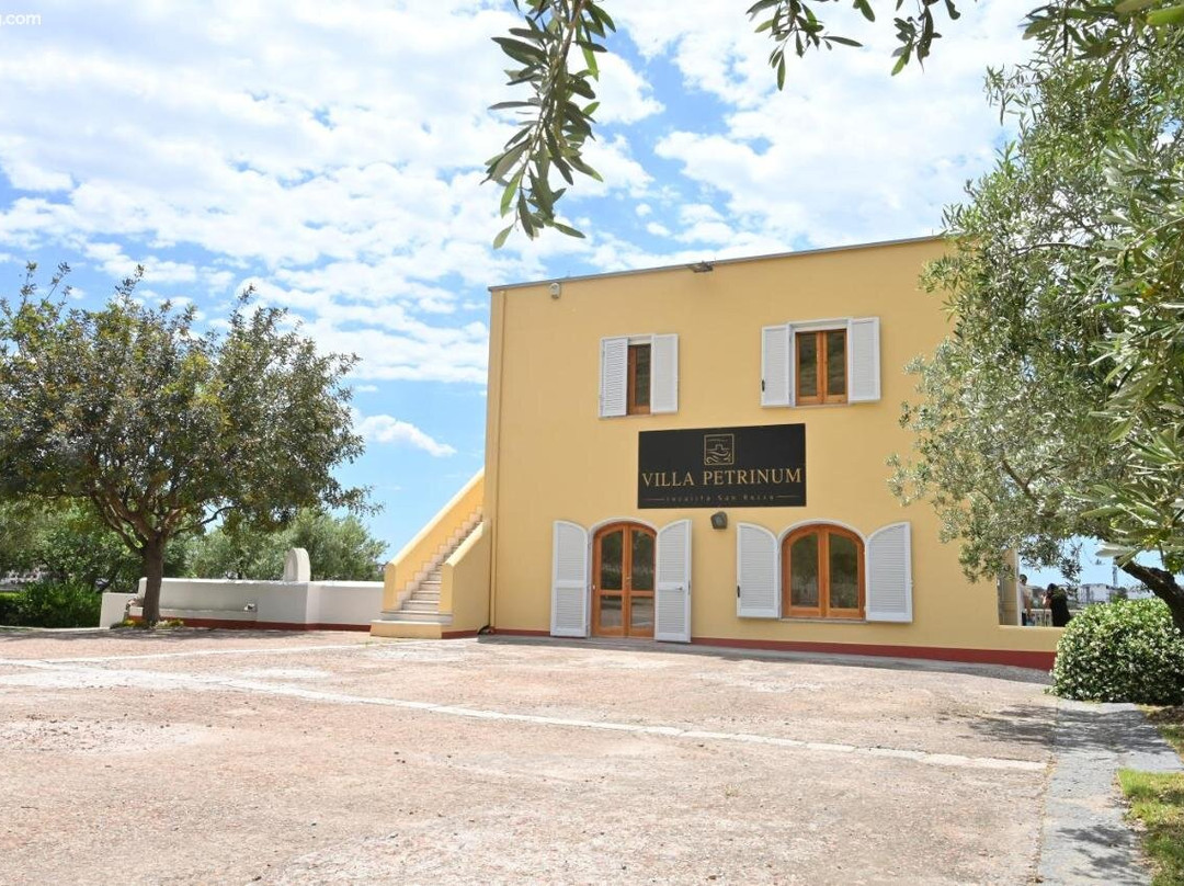 Villa Petrinum B&B主图