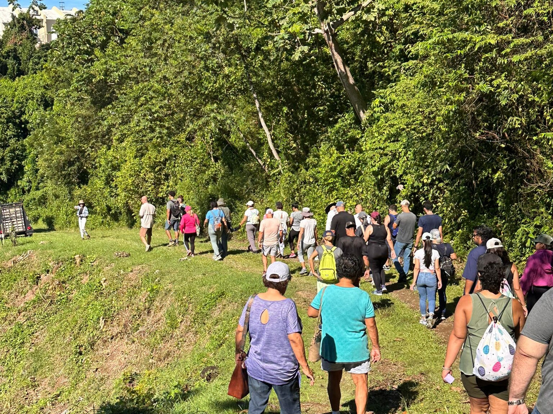 Cacao Farm Finca La Providencia景点图片