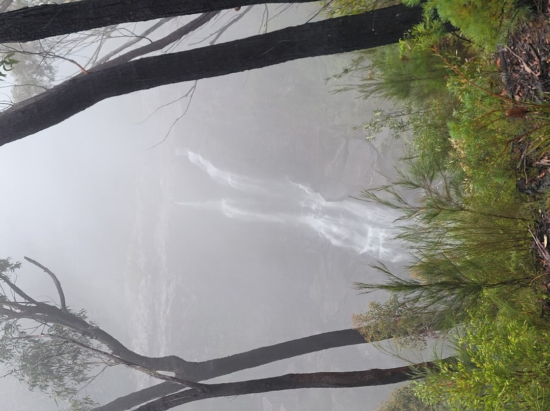 Carrington Falls-Robertson必去景点