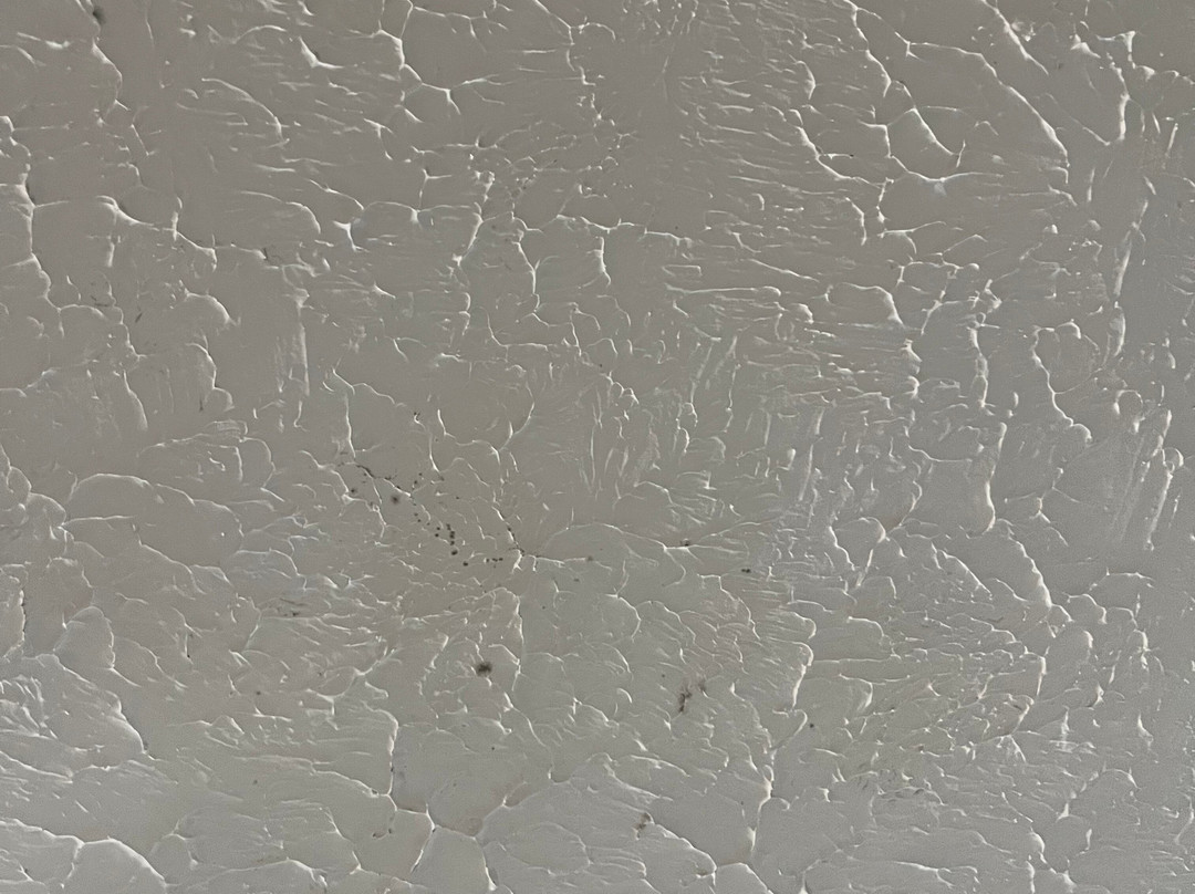 Southern Oaks Inn主图