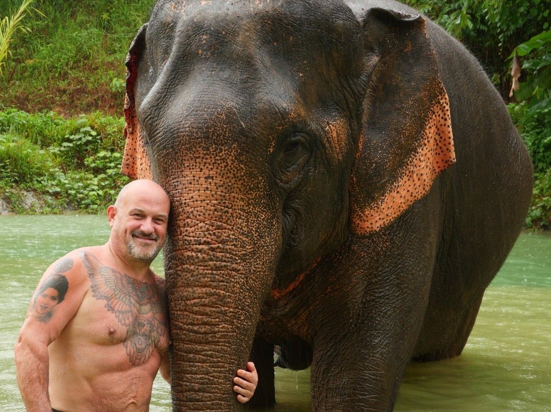 Elephant Care Park​ Phuket​-呈塔累必去景点